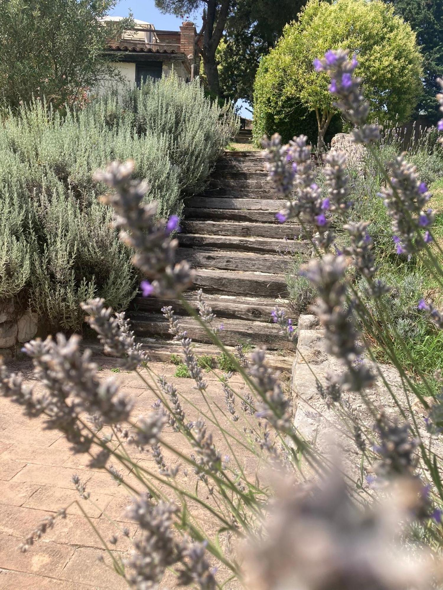 Country House La Collina Di Bargiano - Casa Raffaella Allerona Bagian luar foto